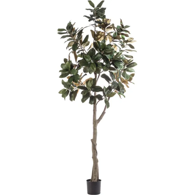 Emerald Kunstboom Magnolia Denudata 240cm - Kunstplant voor binnen - Magnolia plant - Magnolia boom Groen
