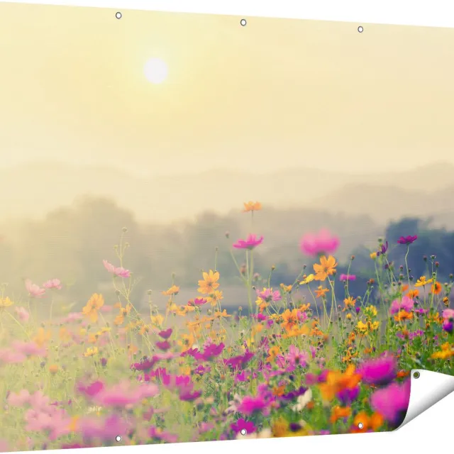 Gards Tuinposter Bloemenveld met Kosmos - Zonsondergang - 160x120 cm - Tuindoek - Tuindecoratie - Wanddecoratie buiten - Tuinschilderij Multikleur