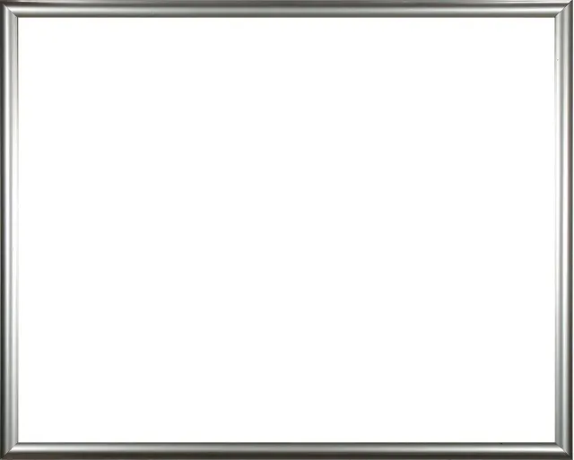 Homedecoration Biggy – Fotolijst – Fotomaat – 31 x 69 cm – Kunststof – Zilver