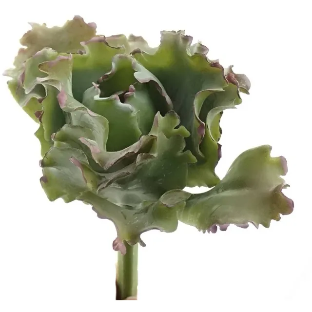 Deko Florale Sperling kunstplant vetplant groen en mauve 15 cm