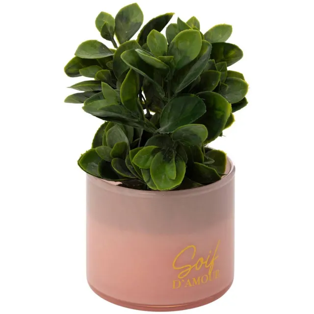 Atmosphera Créateur d'intérieur® Kunstplant in pot "Tayli" H18cm Blanc