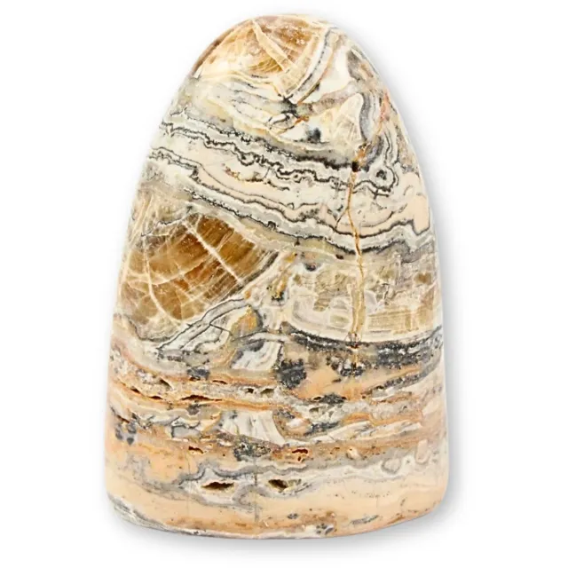 Ruben Robijn Aragoniet Zebra Sculptuur nr.04 n.n.b