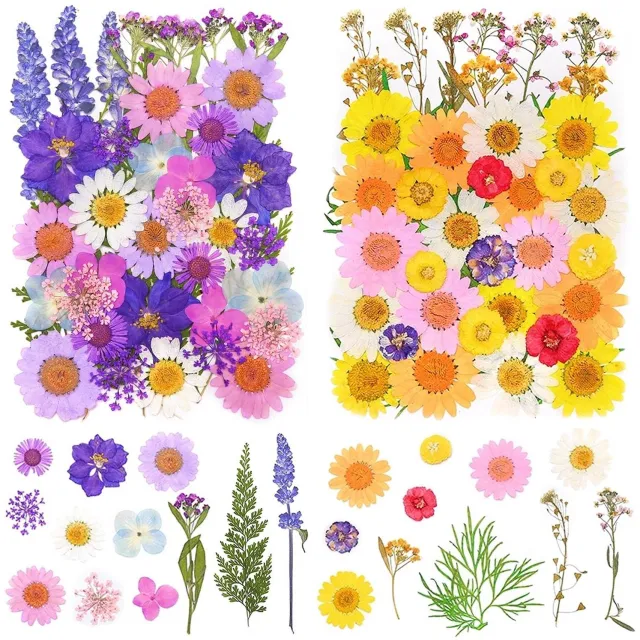 Famanu Geperste gedroogde bloemen set met 81 stuks voor sieraden en scrapbooking