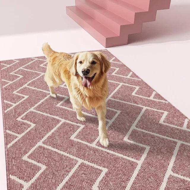 Ibenzoa Superieure Absorberende Deurmat voor Binnen en Buiten, Antislip en Wasbaar, Perfect voor Entrees roze