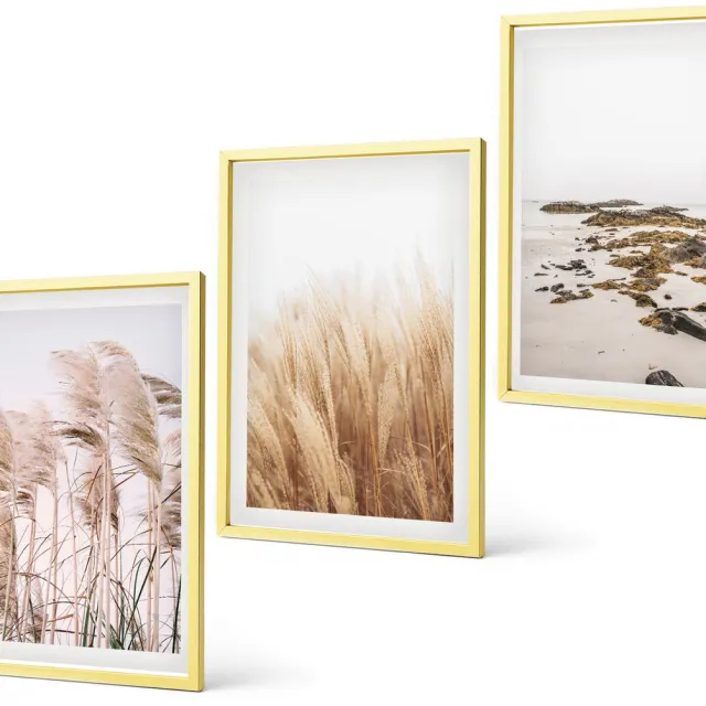 Coloray 3-Delige Schilderij Set - Pampasgrasvelden, Strand, Dromenvanger, Boho-Stijl - 40 x 40 cm En 40 x 60 cm - Decoratieve Schilderijen - Woonkamer - Interieur - Wanddecoratie Gouden lijst