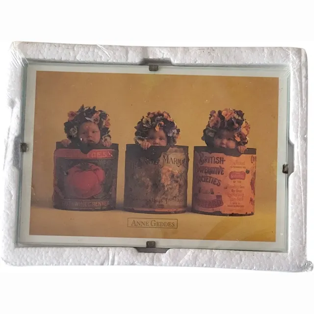 Anne Geddes Fotolijst Glas 10 x 15 cm Anne Geddes Randloos Kleurloos