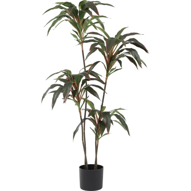 Kunstpalm Kunst Dracaena Roodrand | 120cm - Dracaena kunstplant - Kunstplant dracaena - Groen/Rood Donkergroen