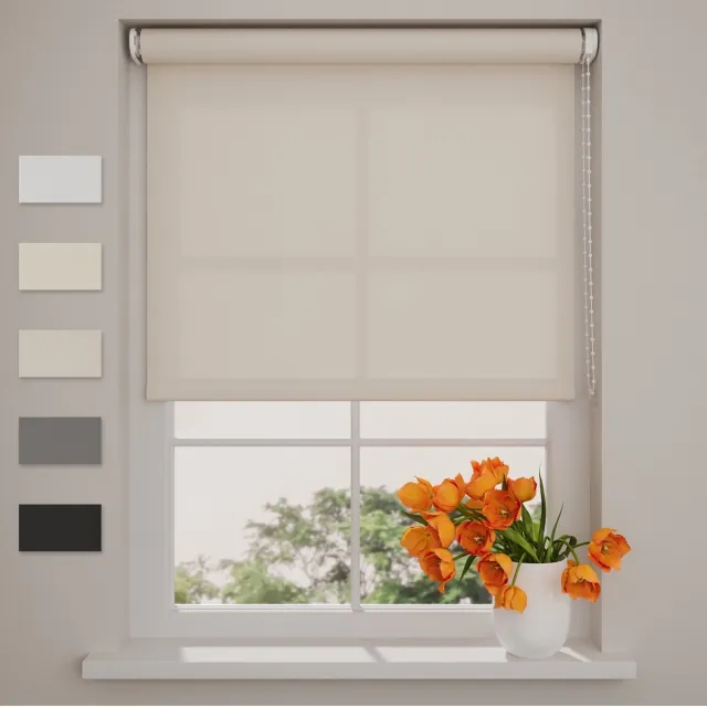 DTCH Rolgordijn Easy Lichtdoorlatend - Sand - 90 x 275 cm Zand