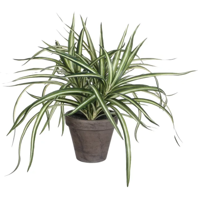 Mica Decorations Dracaena kunstplanten - 34 cm - in grijze pot - Kunstplanten/nepplanten Wit,Groen,Wit, Groen