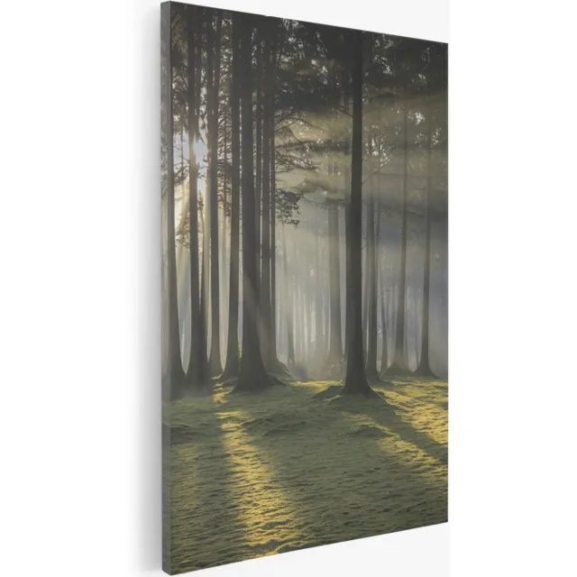 Saammp Canvas Schilderij - Lichtval - Grote Bomen - Landschap - Natuur - 30x45 - Foto op canvas - Wanddecoratie - Muurdecoratie Woonkamer - Slaapkamer decoratie - Canvas Print Multicolor