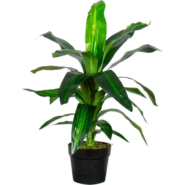 HTT Decorations Kunstplant Dracaena Fragans H60cm - HTT Decorations kunstplanten Groen