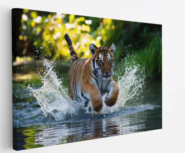 Saammp Canvas Schilderij - Tijger welp in het water - Natuur - Dieren - 150x100 - Foto op canvas - Wanddecoratie - muurdecoratie Woonkamer - Slaapkamer decoratie - Canvas Print Multicolor
