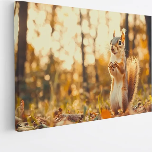 Saammp Canvas Schilderij - Eekhoorn in herfst bos - Natuur - Dieren - 40x30 - Foto op canvas - Wanddecoratie - Muurdecoratie Woonkamer - Slaapkamer decoratie - Canvas Print Multicolor