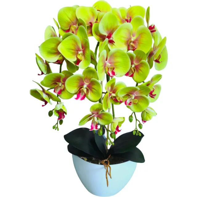 Damich Kunst Orchidee in Bloempot - groen - gemaakt van rubber - Hoogte +/- 60 cm