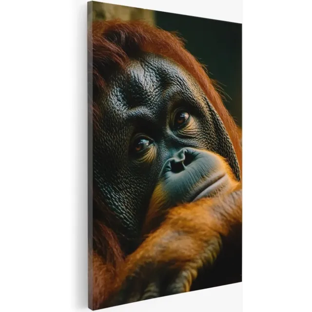 Saammp Canvas Schilderij - Orang oetan - Abstract - Dier - 40x50 - Foto op canvas - Wanddecoratie - Muurdecoratie Woonkamer - Slaapkamer decoratie - Canvas Print Multicolor