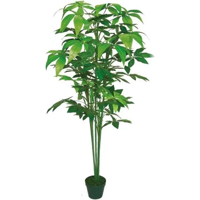 Brulo Aralie 150 cm groen
