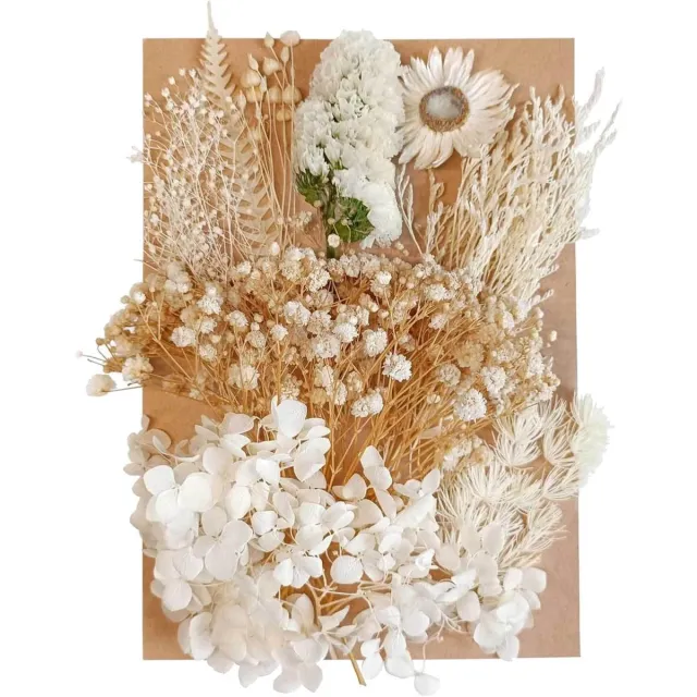 JGS Premium - Gedroogde bloemen bladeren mix voor decoratie knutselen en nagelkunst - Natuurlijke gedroogde bloemen - DIY harstaarten en sieraden - Verschillende soorten Wit