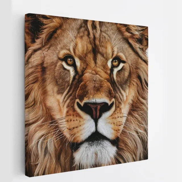 Saammp Canvas Schilderij - Close-up Leeuw - Dieren - Natuur - 20x20 - Foto op canvas - Wanddecoratie - Muurdecoratie Woonkamer - Slaapkamer decoratie - Canvas Print Multicolor