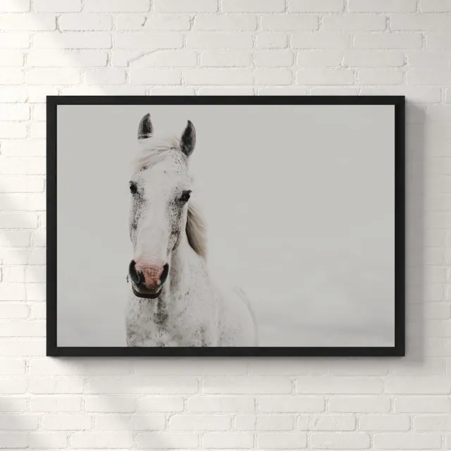 Kleurmedia Wit Paard Portret Poster - Nature Animals Collection - Natuur Posters - A1+ 91,5 x 61 cm