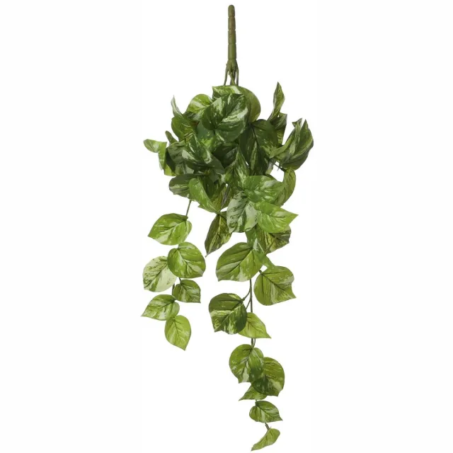 Mica Decorations Decoratieve plant Mica Decorations Potos 14 x 58 x 20 cm Hanger groen
