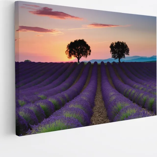 Saammp Canvas Schilderij - Kleurrijk Lavendelveld met bomen - Natuur - Landschap - 150x100 - Foto op canvas - Wanddecoratie - Muurdecoratie Woonkamer - Slaapkamer decoratie - Canvas Print Multicolor