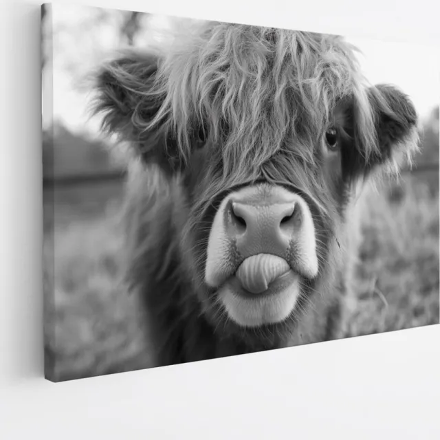 Saammp Canvas Schilderij - Schotse Hooglander Kalf - Zwart-Wit - Dieren - Landschap - 45x30 - Foto op canvas - Wanddecoratie - muurdecoratie Woonkamer - Slaapkamer decoratie - Canvas Print Multicolor