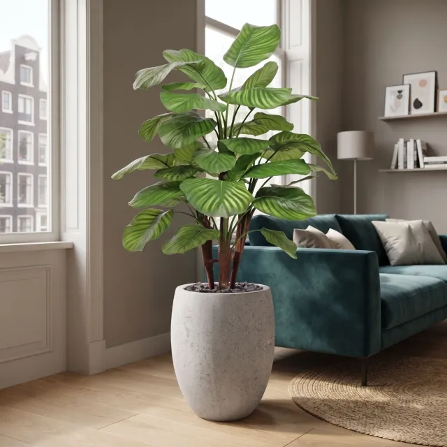 maxifleur Kunstplanten Calathea Fasciata kunstplant Deluxe 110cm Groen
