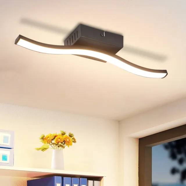NETTLIFE Plafondlamp LED – zwart – 3000K Warm wit Licht - Moderne Plafondverlichting 35.4cm – Metaal - met creatief ontwerp - voor Woonkamer | Slaapkamer | Gang - 6W