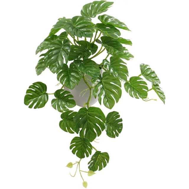 homebound by ky Kunstpland Tropico monstera 45cm Groen