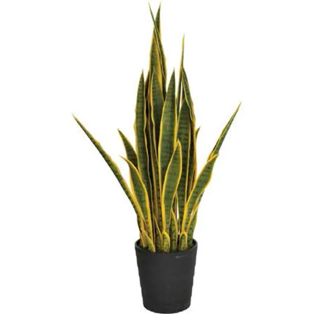 Intergard Kunstplanten Sansevieria vrouwentong 105cm bicolor Groen