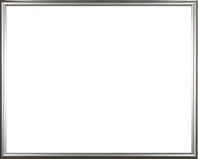 Homedecoration Biggy – Fotolijst – Fotomaat – 57 x 63 cm – Kunststof – Zilver