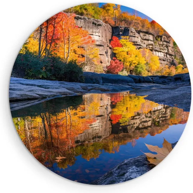 Saammp Muurcirkel Hout - Blad op steen - Landschap - Natuur - Ø 60 - Wandcirkel - Wanddecoratie Cirkel - Muurdecoratie Woonkamer - Slaapkamer decoratie - Rond Schilderij