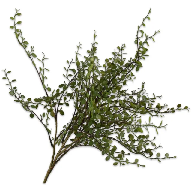 Silk-ka Kunstplant - Steker - Buxes - Groen - H58 cm