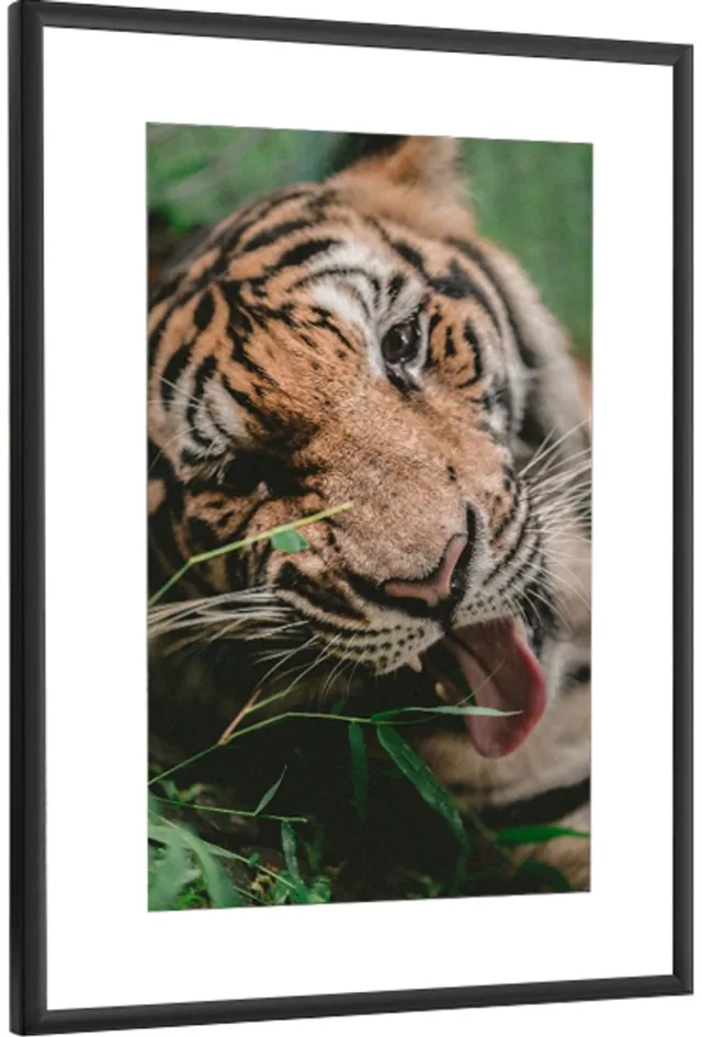 Cadro Zwarte Aluminium Fotolijst 50x70 cm - Stijlvol en Duurzaam