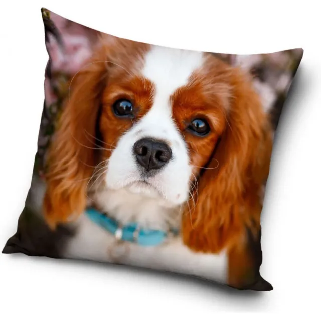 DOG pillowcase 40*40 cm meer kleuren