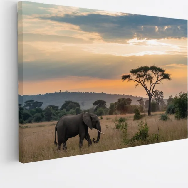 Saammp Canvas Schilderij - Olifant tijdens zonsondergang in de serangeti - Afrika - Dieren - 30x20 - Foto op canvas - Wanddecoratie - muurdecoratie Woonkamer - Slaapkamer decoratie - Canvas Print Multicolor