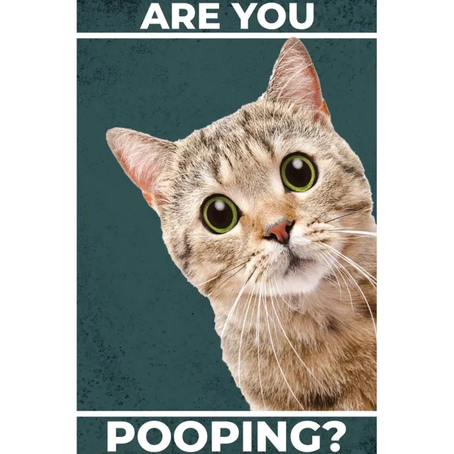 Bellive Grappige kat ben je poepen Vintage poster - Kat Poster - Cadeau voor kattenliefhebber - Wall Art Print - A3