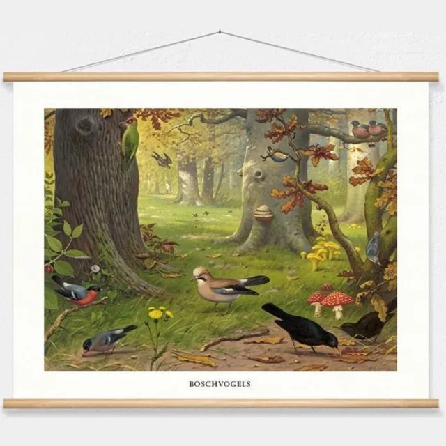 wallchart unlimited Schoolplaat 'Boschvogels' van M.A. Koekkoek wit