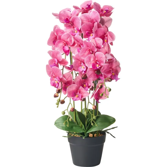 Beliani ORCHID - Kunstplant - Roze - 65 cm - Synthetisch materiaal Groen