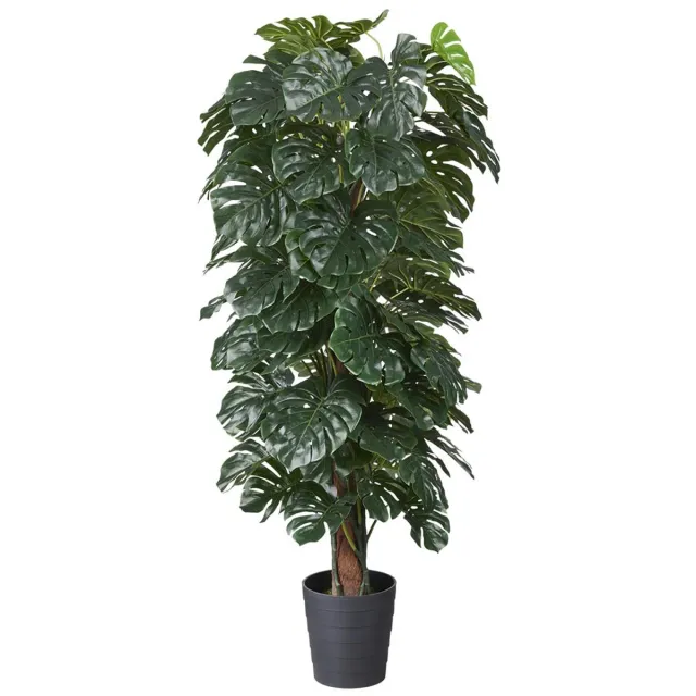 HTT Decorations Kunstplant Monstera (mosstok) H175cm - HTT Decorations kunstplanten Groen