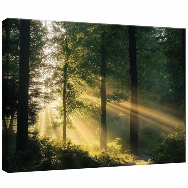 WALLARENA Canvas schilderij - 60x40 cm - afbeelding van een bos met bomen voor slaapkamer, woonkamer en keuken multikleurig