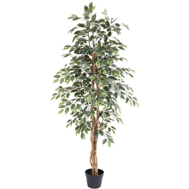 Trendyplants Kunst Ficus Benjamina Variegata - Bonte Treurvijg - Kunstplant - Hoogte 160cm - Potmaat Ø18cm Groen