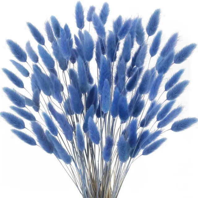 Ibenzoa Natuurlijke Blauwe Droogbloemen Set van 120 Stuks voor Decoratieve Toepassingen in Huis en Feestelijke Gelegenheden