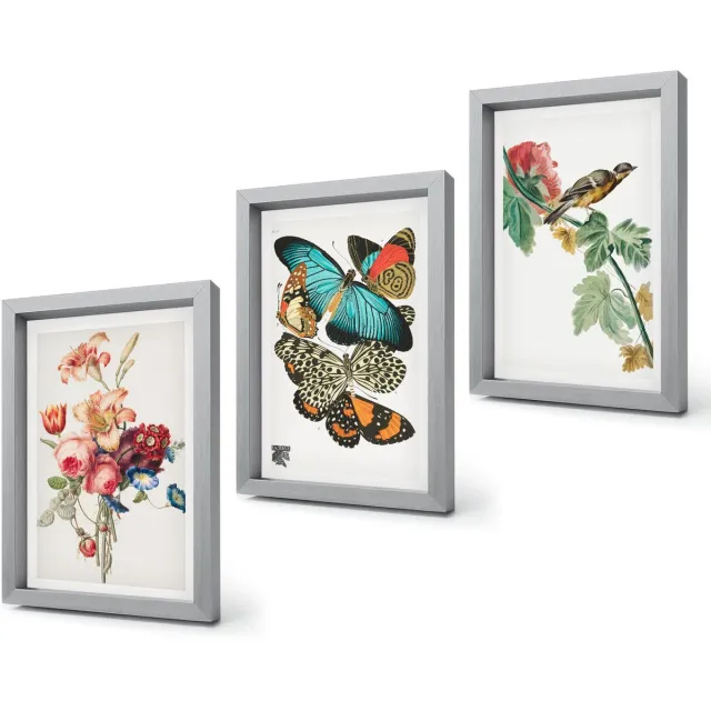 Coloray 4-Delige Schilderij Set - Bloemen, vlinders en vogels in pasteltinten - 20 x 30 cm - Muurdecoratie - Decoratieve Schilderijen - Wohnzimmer - Interieur Decoratie Zilveren lijst