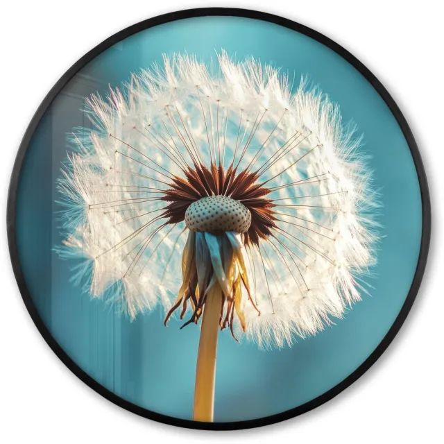 FrameYourWall Poster in lijst Rond - Fotolijst 80x80 cm - Posters - Paardenbloem - Natuur - Bloemen - Blauw - Ronde posterlijst zwart - Decoratie - Wanddecoratie woonkamer - Muurdecoratie slaapkamer
