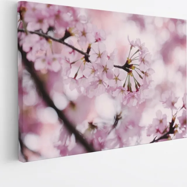 Saammp Canvas Schilderij - Bloesemtakken met roze bloemen - Natuur - Abstract - 60x40 - Foto op canvas - Wanddecoratie - Muurdecoratie Woonkamer - Kantoor Decoratie Multicolor