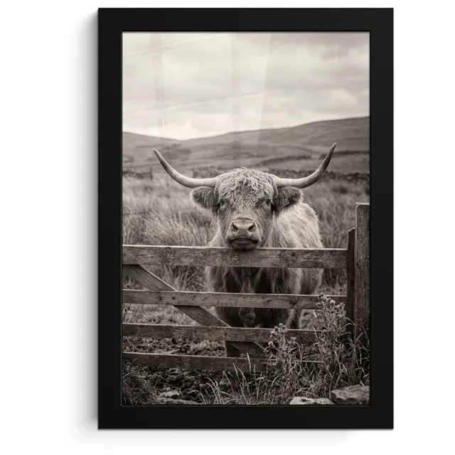FrameYourWall Poster in lijst - Fotolijst 20x30 cm - Posters - Schotse hooglander - Zwart - Wit - Hout - Posterlijst zwart - Decoratie - Wanddecoratie woonkamer - Muurdecoratie slaapkamer