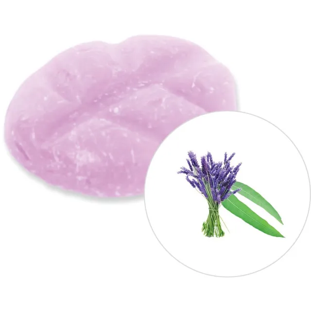 Scentchips Eucalyptus & Lavendel - Geurblokjes - Huisparfum - Geurchips - Waxmelts - Geschikt voor Geurbrander en Waxbrander - S - 8 Stuks Paars