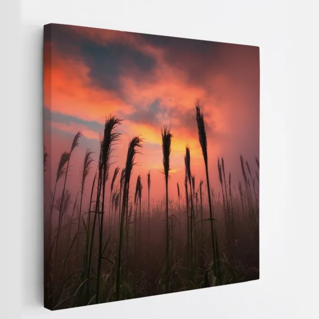 Saammp Canvas Schilderij - Graan tijdens zonsondergang - Natuur - Landschap - 30x30 - Foto op canvas - Wanddecoratie - Muurdecoratie Woonkamer - Slaapkamer decoratie - Canvas Print Multicolor