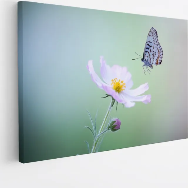 Saammp Canvas Schilderij - Vlinder - Bloemen - Dieren - Natuur - 90x60 - Foto op canvas - Wanddecoratie - muurdecoratie Woonkamer - Slaapkamer decoratie - Canvas Print Multicolor